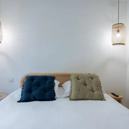 Beautiful 7p Center 250m Antibes